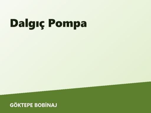 Dalgıç Pompa 