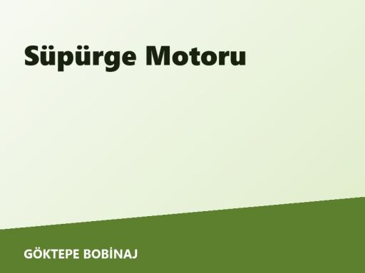 Süpürge Motoru