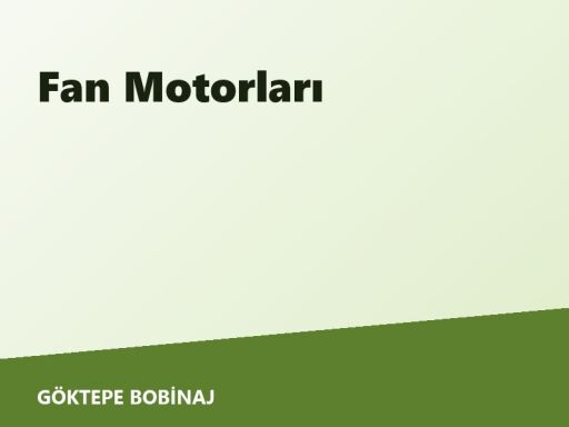 Fan Motorları