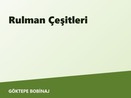 Rulman Çeşitleri