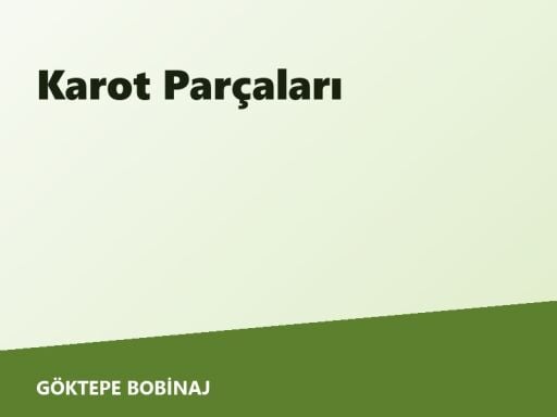 Karot Parçaları